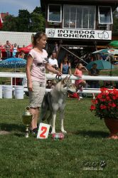 veron02.jpg