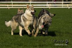 20100403_8390.jpg