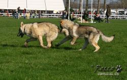 20100403_8482.jpg