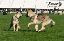 20100403_8483.jpg