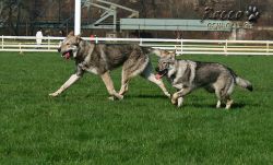 20100403_8492.jpg