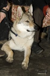 20100403_8572.jpg