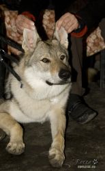 20100403_8573.jpg