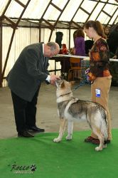 20100403_8592.jpg