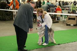 20100403_8595.jpg