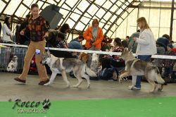 20100403_8601.jpg