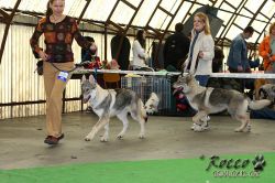 20100403_8603.jpg
