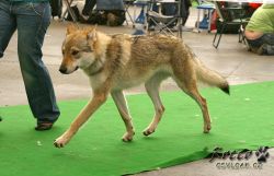 20100403_8634.jpg