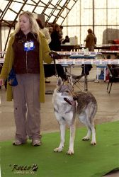 20100403_8644.jpg