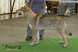20100403_8645.jpg