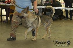 20100403_8655.jpg