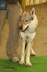 20100403_8657.jpg