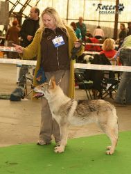 20100403_8658.jpg