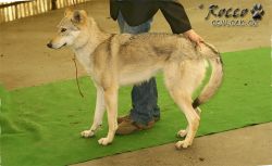 20100403_8667.jpg
