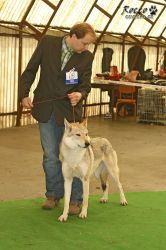 20100403_8674.jpg