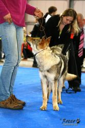 IMG_1709.jpg