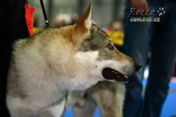 IMG_1712.jpg