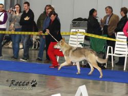 IMG_1717.jpg