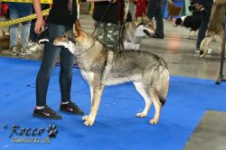 IMG_1729.jpg