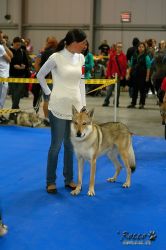 IMG_1733.jpg