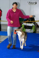 IMG_1743.jpg