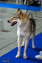 IMG_1752.jpg