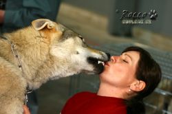 IMG_1761.jpg
