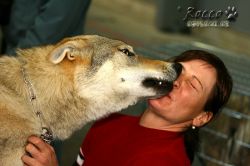 IMG_1763.jpg