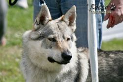 IMG_2027.jpg