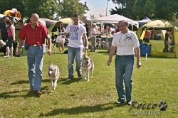 IMG_2052.jpg