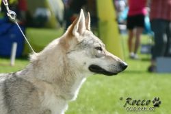 IMG_2055.jpg