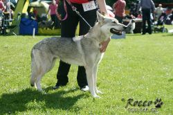 IMG_2057.jpg