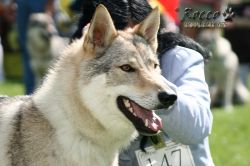 IMG_2064.jpg