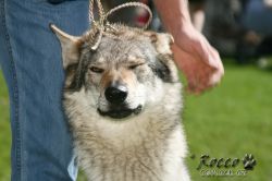 IMG_2072.jpg