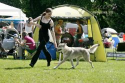 IMG_2113.jpg