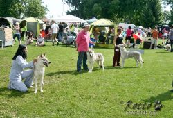 IMG_2124.jpg