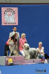 IMG_2135.jpg