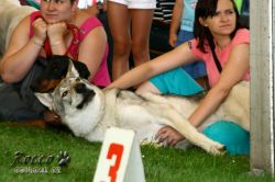 IMG_2361.jpg