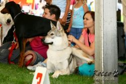 IMG_2364.jpg