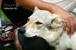 IMG_2366.jpg