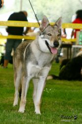 IMG_2386.jpg