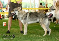 IMG_2414.jpg