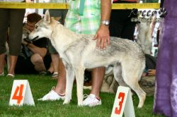 IMG_2434.jpg