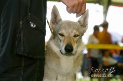 IMG_2439.jpg