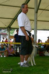 IMG_2461.jpg