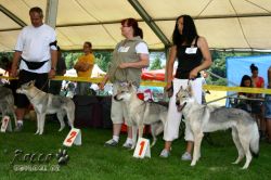 IMG_2469.jpg
