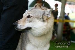 IMG_2480.jpg