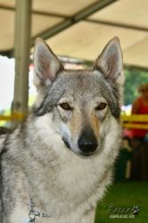 IMG_2490.jpg