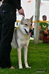 IMG_2493.jpg