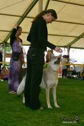 IMG_2494.jpg